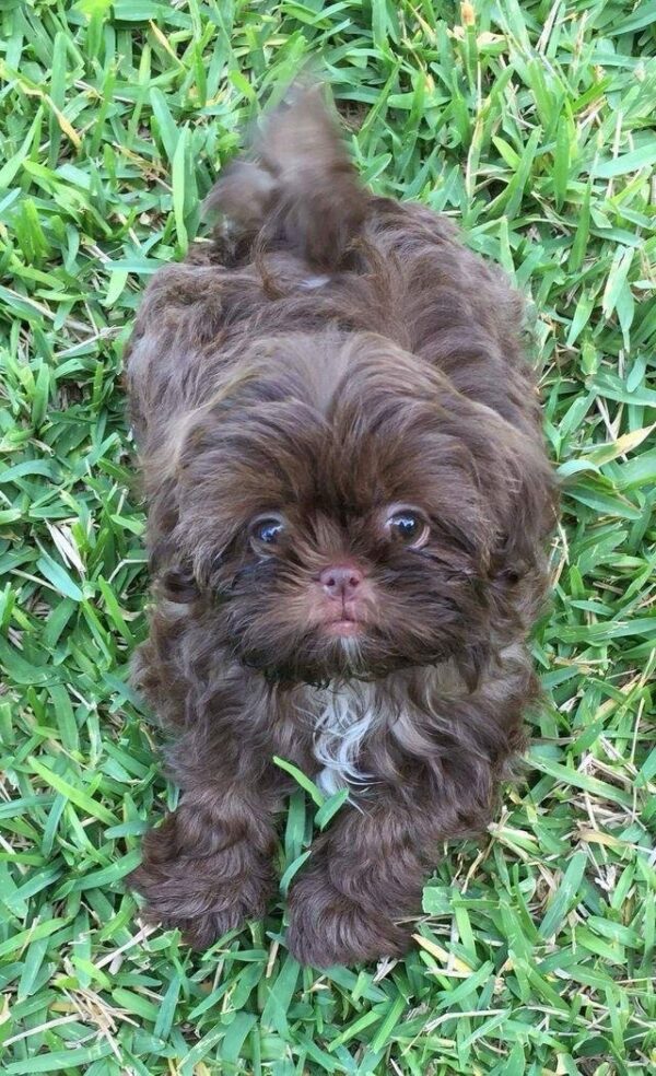 Tina