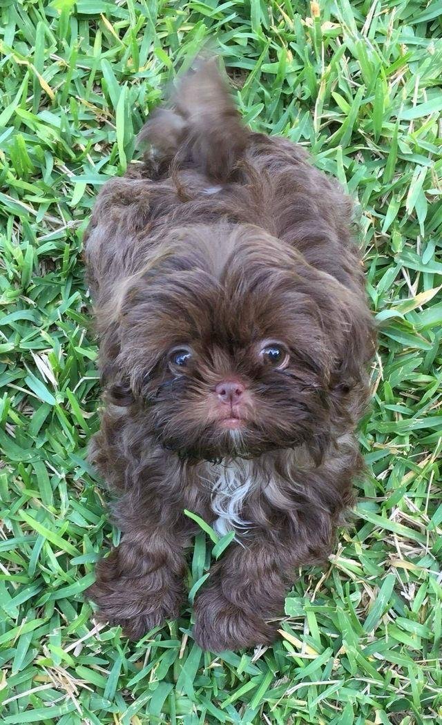 Tina